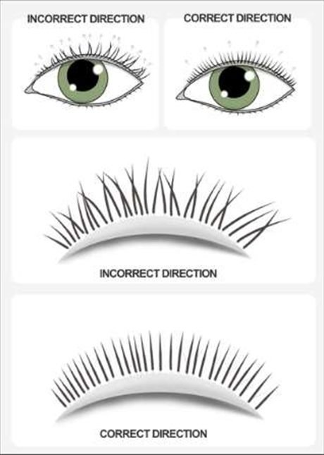 Correct vs incorrect direction