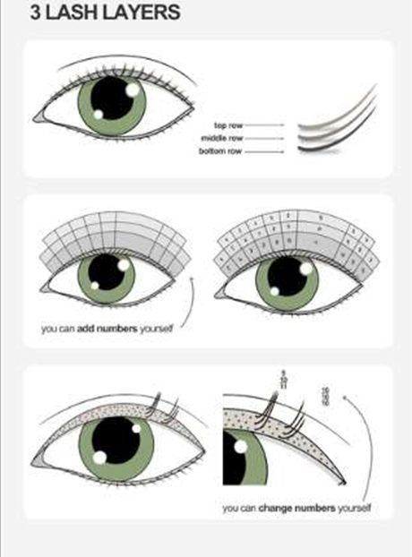 3 lash layers